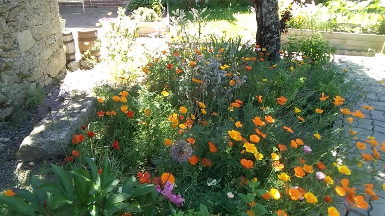 Bed and Breakfast Les Tournesols La Bernardiere Esterno foto