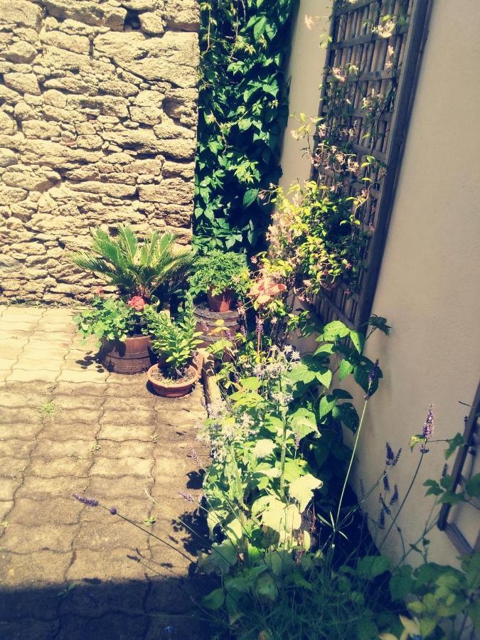Bed and Breakfast Les Tournesols La Bernardiere Esterno foto
