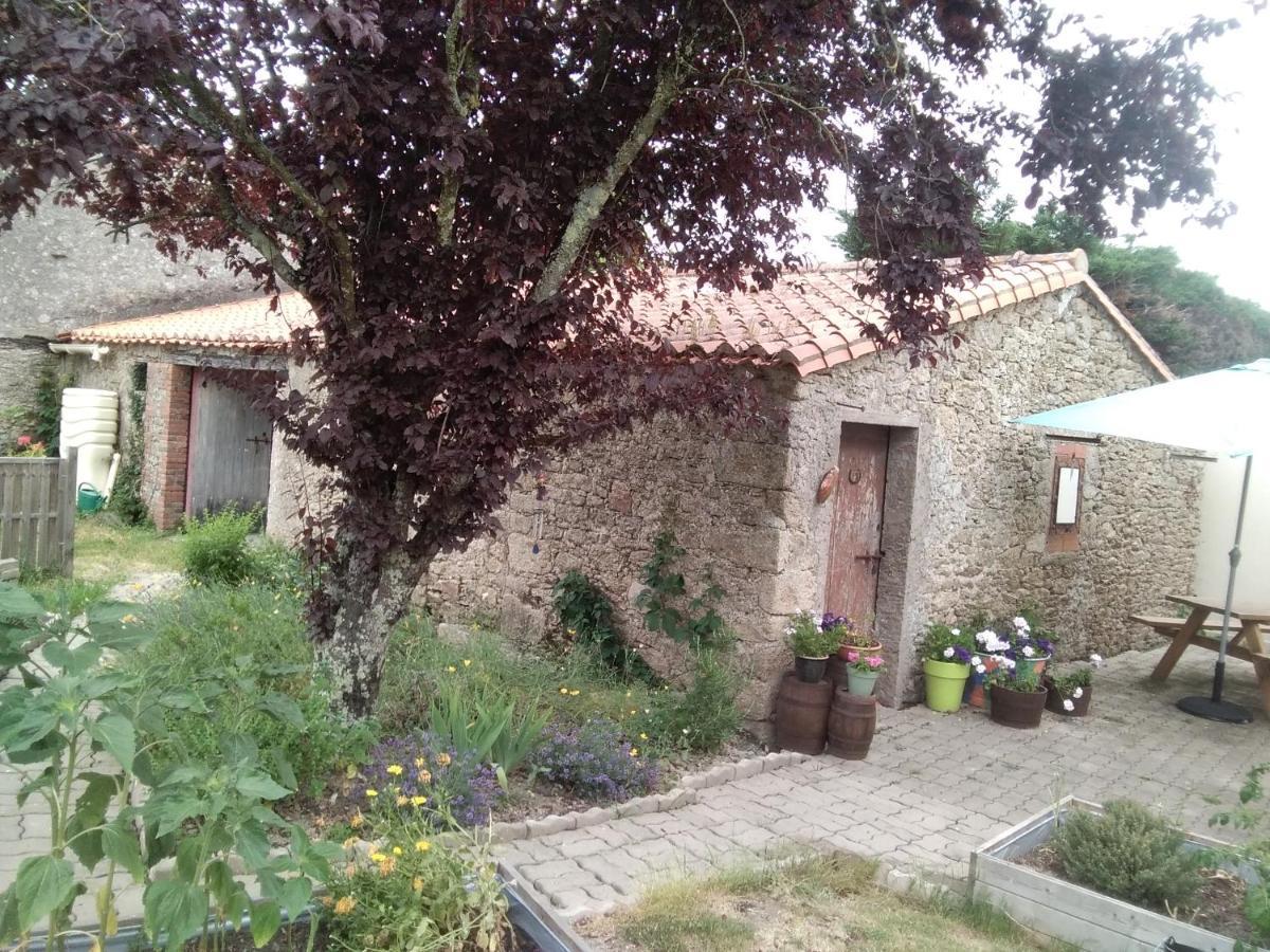 Bed and Breakfast Les Tournesols La Bernardiere Esterno foto
